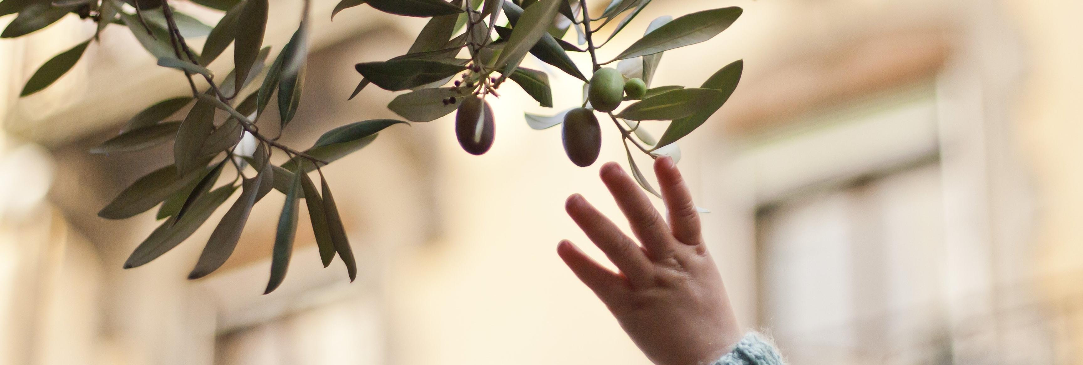 Alles, was ihr tut, geschehe in Liebe